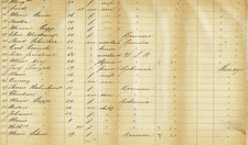 Passagierliste 1853 (Ausschnitt)